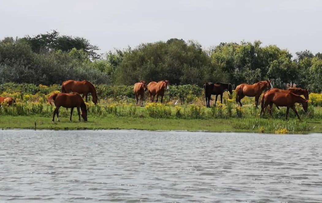 Quinta Marinhais Para Ferias No Ribatejo 外观 照片